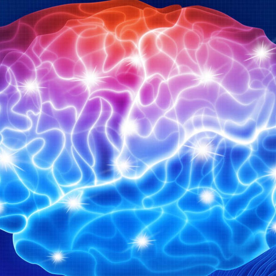 Brain-1600x600-rr