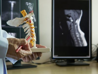 A,Neurosurgeon,Pointing,And,Demonstrating,Anatomy,Of,Artificial,Human,Cervical