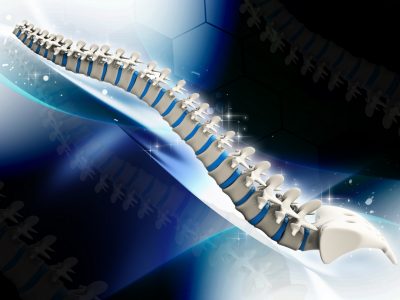 Digital,Illustration,Of,Human,Spine,In,Colour,Background