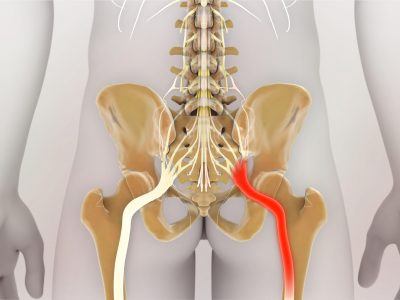 shutterstock_1202773228 (1)