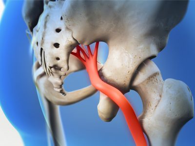 shutterstock_1408831532 (1)