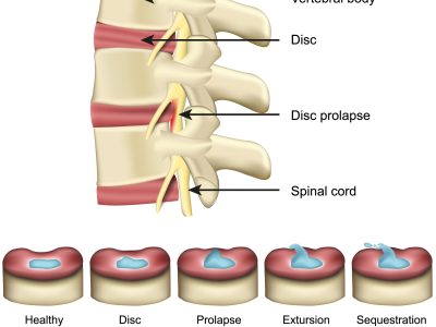 shutterstock_1434903005 (1)