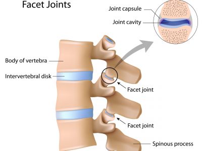 shutterstock_157672247 (1)