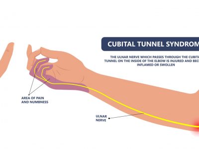 shutterstock_1955455354