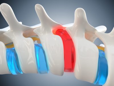 shutterstock_1960776229 (1)