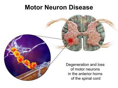 shutterstock_1976766242 (3)