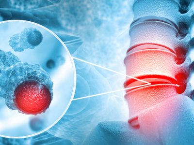 shutterstock_2028109985 (1)