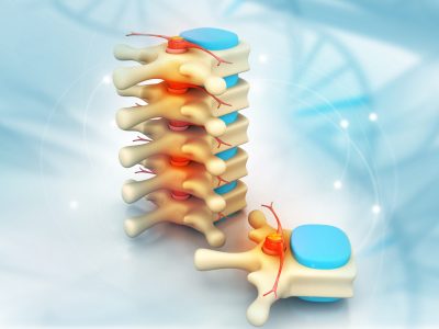 3d,Render,Of,Human,Spine,On,Medical,Background